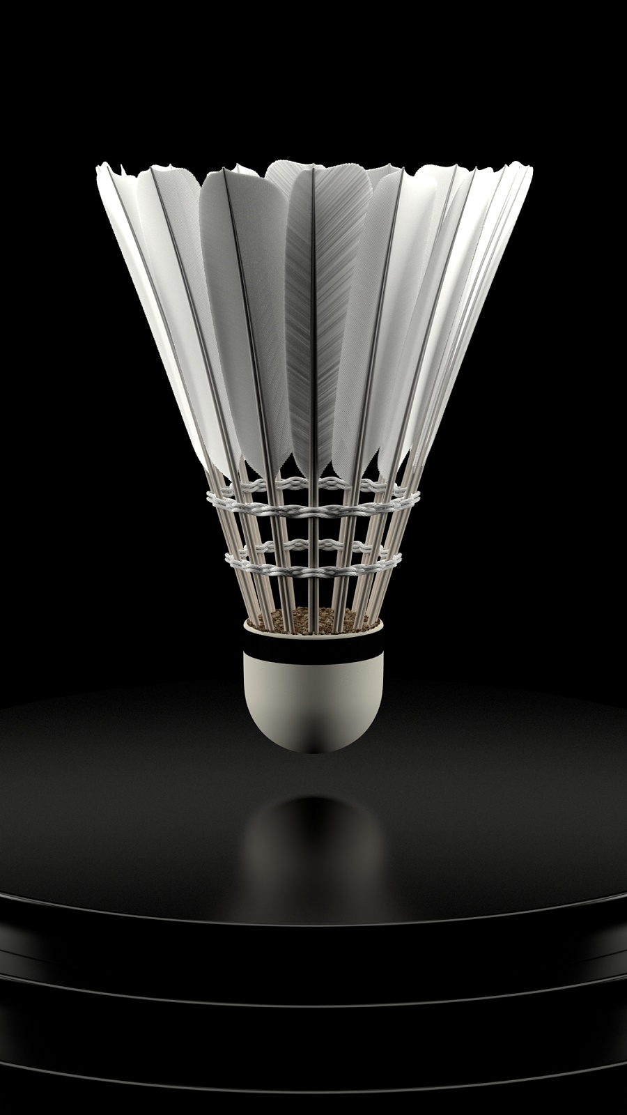 的位置上 的位置上