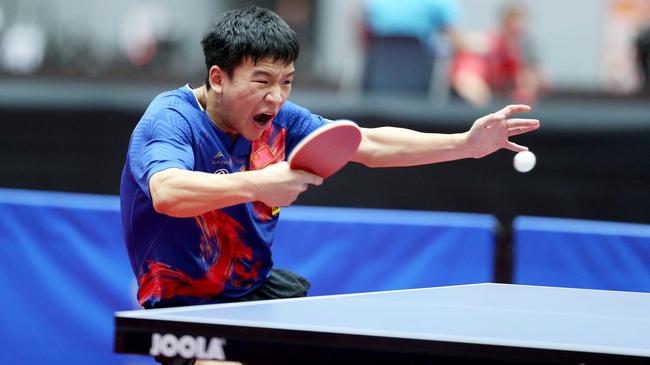 以为傲的 以为傲的