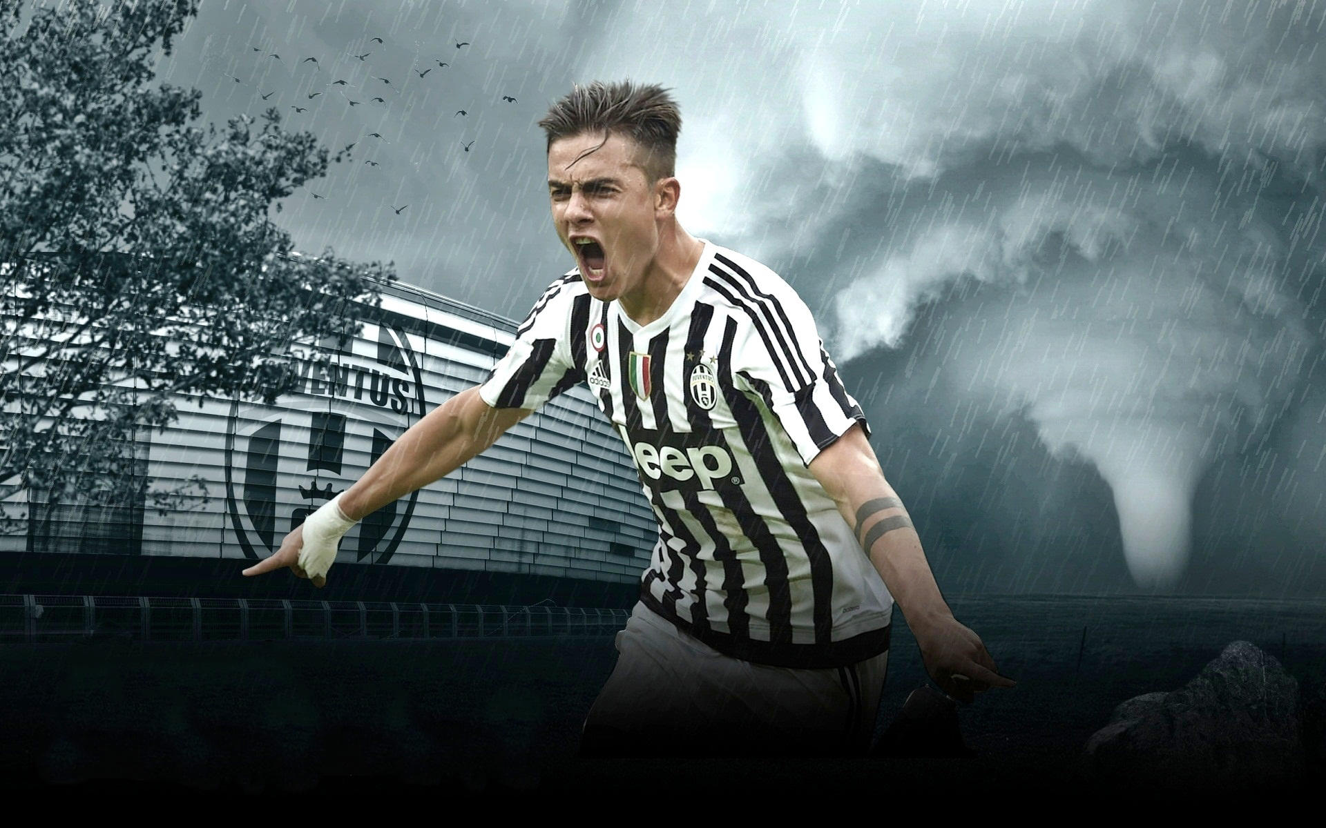 神户胜利船 神户胜利船